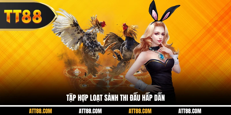 Tập hợp loạt sảnh thi đấu hấp dẫn